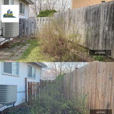 Cedar fence cleaning laval qc 1